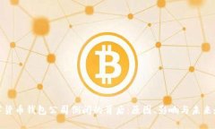 数字货币钱包公司倒闭的背后：原因、影响与未