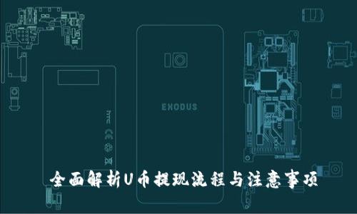  全面解析U币提现流程与注意事项