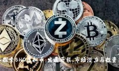 深入探索BHD虚拟币：发展历程、市场潜力与投资