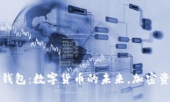 全面解析袋鼠钱包：数字货币的未来，加密资产