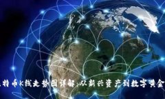 十年比特币K线走势图详解：从新兴资产到数字黄
